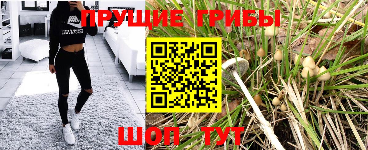 Галлюциногенные грибы ЛСД  Псилоцибиновые грибы ЛСД  Вход с VPN  где продают   Нижний Новгород 